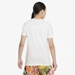 Nike Dri-FIT ACG FD0850-100