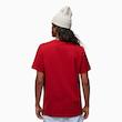 تیشرت مردانه جردن Jordan Men’s Graphic Crew Neck T‑Shirt Red – DV8414‑687