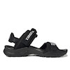 Black Terrex Cyprex Ultra DLX Sandals