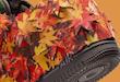 Nike Air Force 1 Low LXLeaf Camo im8062-368