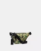 Bape X Coach