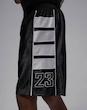 Jordan Brooklyn Cat Scratch Shorts hv0560-011