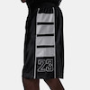Jordan Brooklyn Cat Scratch Shorts hv0560-011