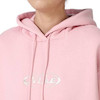 Nike women's hoodie hq2987-699