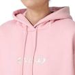 Nike women's hoodie hq2987-699