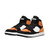 Air Jordan Access Shattered Backboard