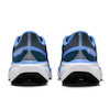 Nike Air Zoom Pegasus 41 GTX fq1357-400