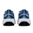 Nike Air Zoom Pegasus 41 GTX fq1357-400