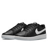 Nike Court Royale 2 'Black White' DH3159-001