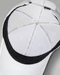 Jordan Rise Structured Metal Jumpman Hat HM5750-100
