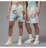 Men's shorts Air Jordan Essentials 