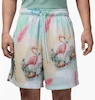 Men's shorts Air Jordan Essentials 