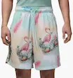 Men's shorts Air Jordan Essentials 