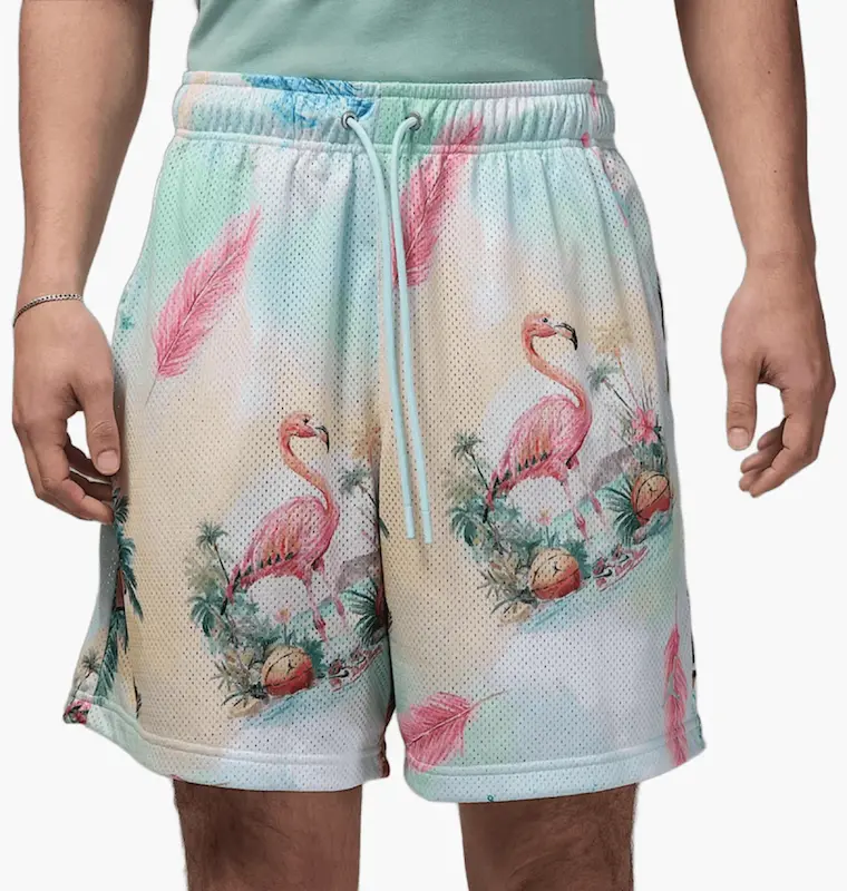 Men's shorts Air Jordan Essentials 