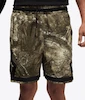 Jordan DRI-FIT SPORT CAMO SHORT