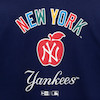 AP MLB NEW YORK YANKEES 14413059