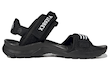 Black Terrex Cyprex Ultra DLX Sandals