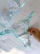 Aqua Dream Set