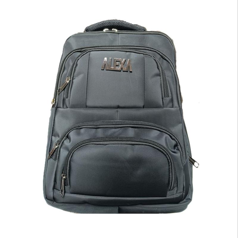 کوله پشتی دو خونه برند Alexa کد 3