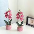 ست ۲ عددی گل مصنوعی ارکیده صورتی (Peg-25-TM)