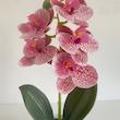 ست ۲ عددی گل مصنوعی ارکیده صورتی (Peg-25-TM)