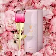 Warm Kiss عطر زنانه (Min-19.00 TM)