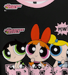 تی‌شرت  دخترانه THE POWERPUFF GIRLS(سایز 34 تا 42) (naf.Shein.42.04)