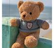 عروسک خرس تدی آبی ۱ تکه (Hed-23.09-TM)