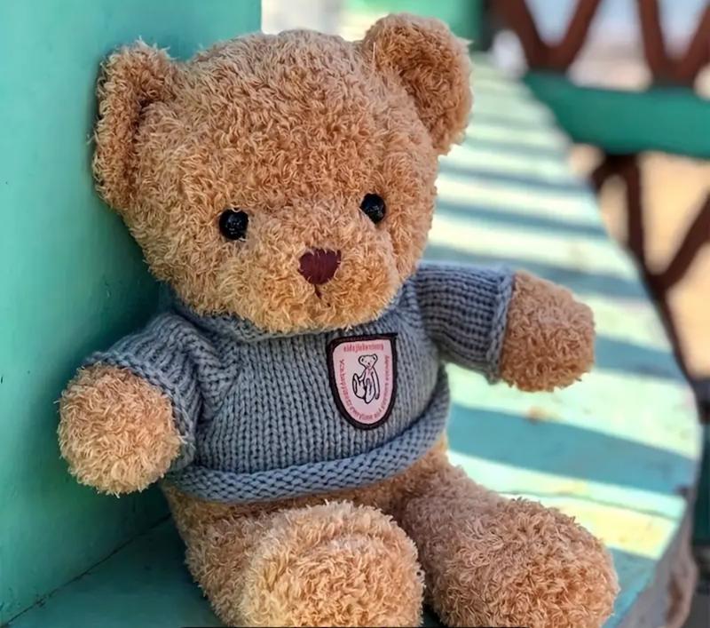 عروسک خرس تدی آبی ۱ تکه (Hed-23.09-TM)