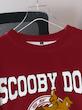 پلیور دورس مردانه (SCOOBY-DOO) (سایز M تا 2XL) (naf.shein.62.97)