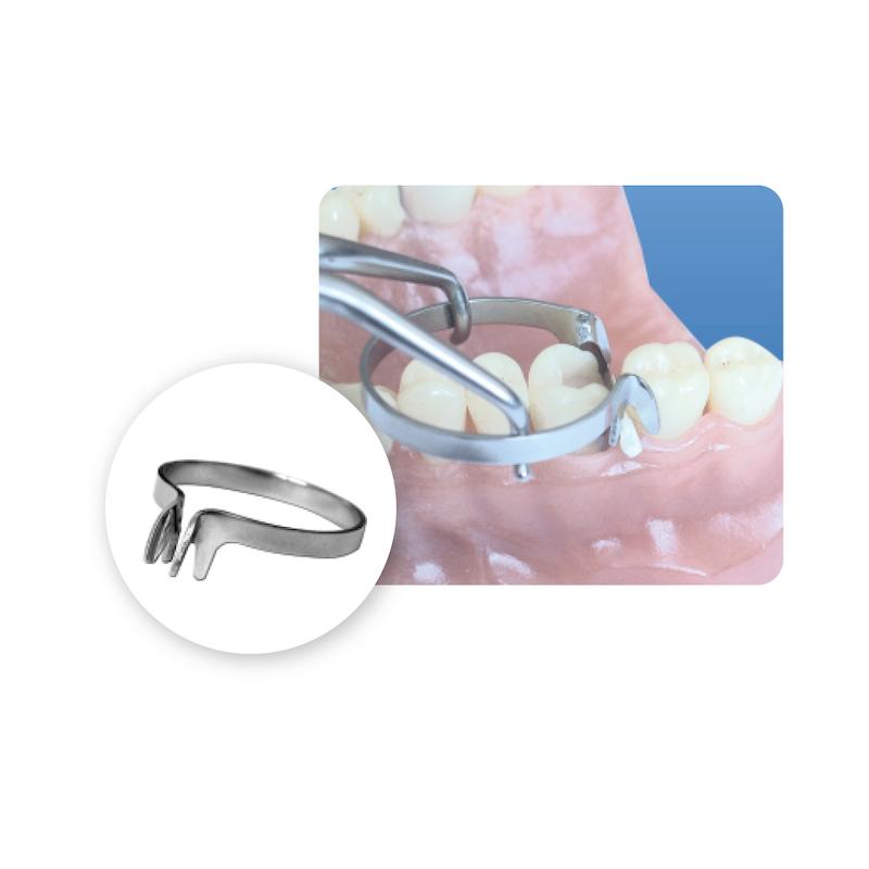 رینگ آناتومیک مخصوص مزیال - دیستال - Torvm