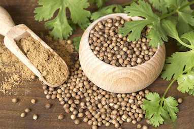 تخم گشنیز