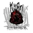 تیشرت آستین رگلان اور سایز (بدون جنسیت) Korn-Falling Away From Me