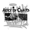 تیشرت آستین رگلان اور سایز Alice in Chains