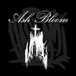 تیشرت دخترانه ی فیت Ash Bloom