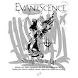 تیشرت آستین رگلان اور سایز Evanescence