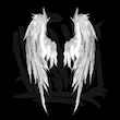 تیشرت آستین بلند Bitmap wings