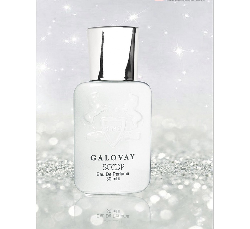 عطر جیبی مردانه مارلی گالووی اسکوپ GALOVAY SCOOP 30ML