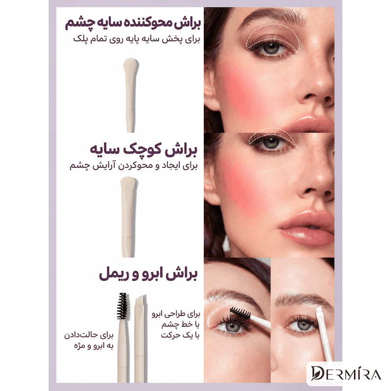 اینفوگرافیک ست براش ۶ تکه شیگلم Pro Core با کاربرد براش‌ها برای صورت و چشم