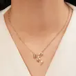گردنبندپاپیون ژوپینگ 