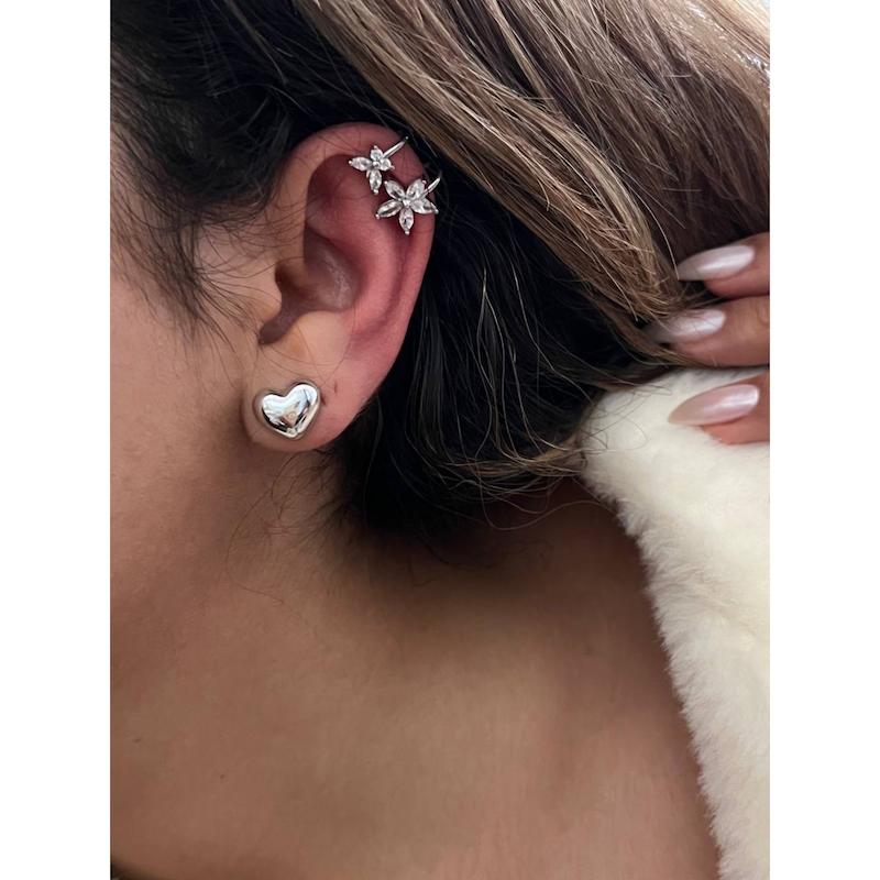 ایرکاف گل و پروانه