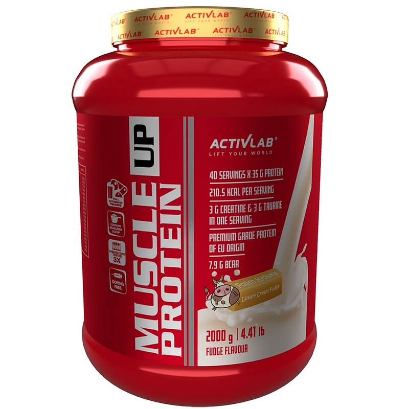 پروتئین ماسل آپ اکتیو لب MUSCLE UP PROTEIN ACTIVE LAB