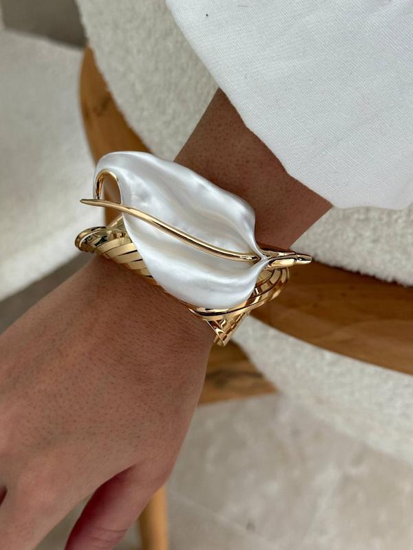 بنگل دو رنگ 