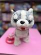 هاپو قلاده دار سنسوری 