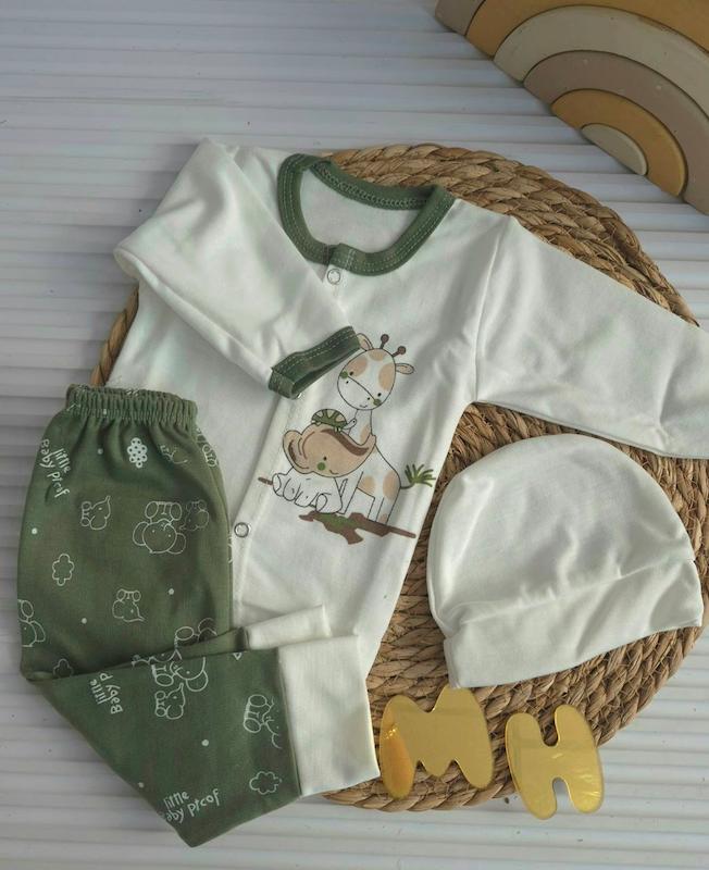 ست 19 تکه آریانا کد 11205