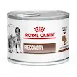 کنسرو ریکاوری سگ و گربه(Recovery) رویال کنین