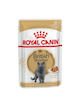 پوچ گربه رویال کنین مدل بریتیش ادالت  British Shorthair Adult 
