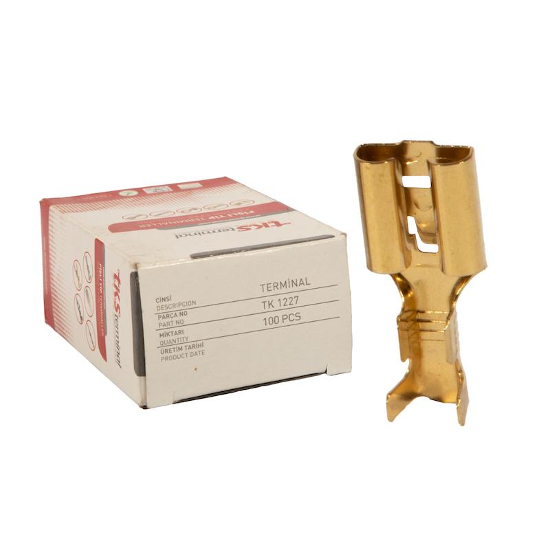 سرسیم بزرگ پشت دینام  تی کی اس مدل TK1227 برنجی مجموعه 100عددی