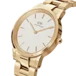 Daniel Wellington Iconic Link Arctic
