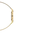 ساعت دنیل ولینگتون Petite Evergold Black